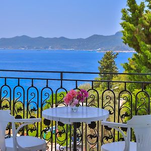 Livia Hotel